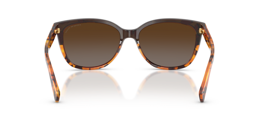 Black Tortoise Gradient